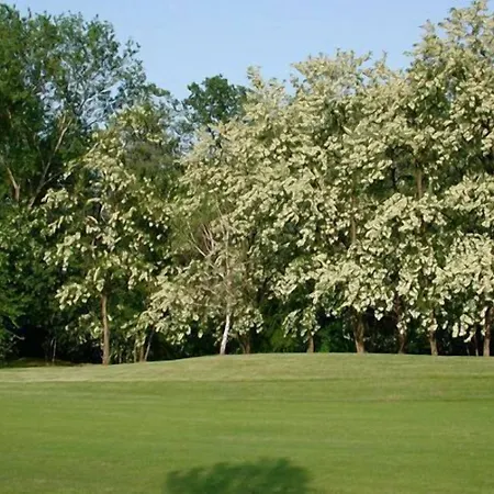 Corte Degli Estensi 3* Formigine