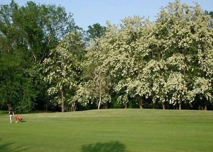 Corte Degli Estensi 3* 포르미지네